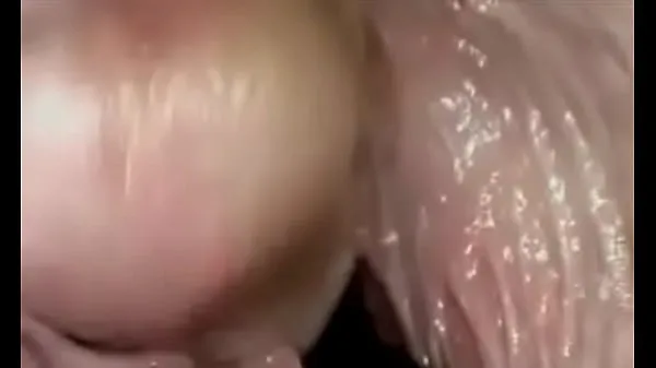 วิดีโอพลังCams inside vagina show us porn in other wayที่ดีที่สุด