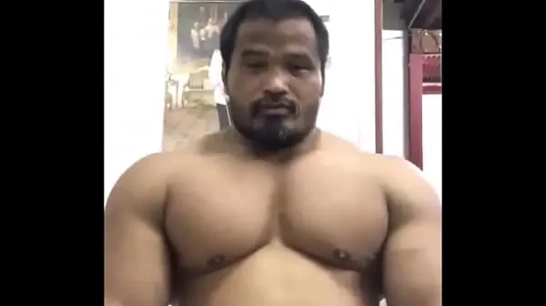 Beste Massive thai bull [tags: muscle, bodybuilder, Asian, beefy, massive, thick, pecs, pec flexing, pec bouncing, chest, posing, flexing, hunk, muscular, off season kraftvideoer