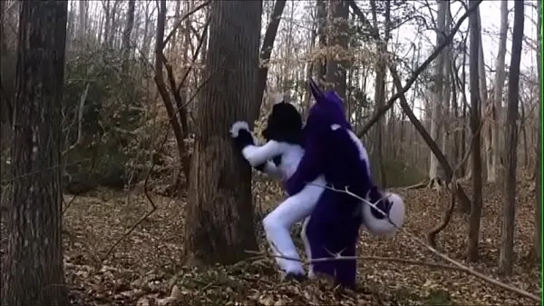 Nejlepší Fursuit Couple Mating in Woods výkonová videa