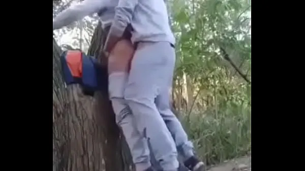 Los mejores videos de Lo tengo nuevo en el bosque poder